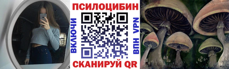 Псилоцибиновые грибы мицелий  Владивосток 